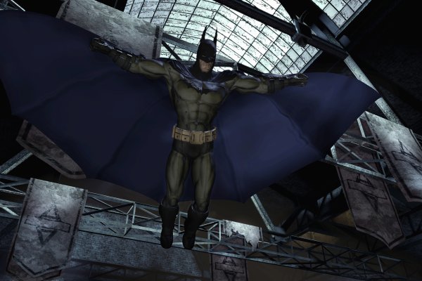 Batman: Arkham Asylum pilt 4499