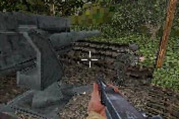 Call of Duty pilt 3672 Call of Duty pilt 3672