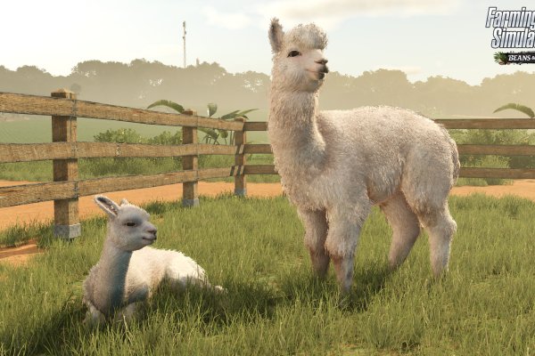 Farming Simulator 25: Beans & Alpacas Expansion pilt 7691