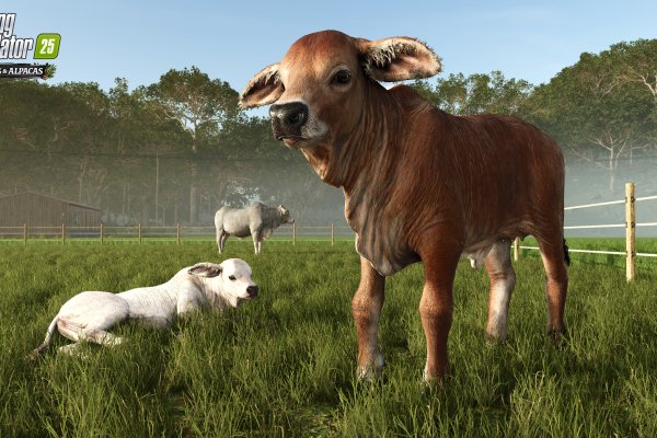 Farming Simulator 25: Beans & Alpacas Expansion pilt 7692