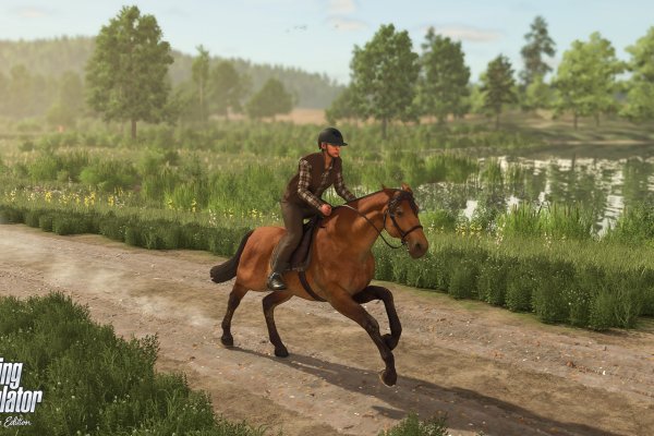 Farming Simulator: Signature Edition pilt 2746