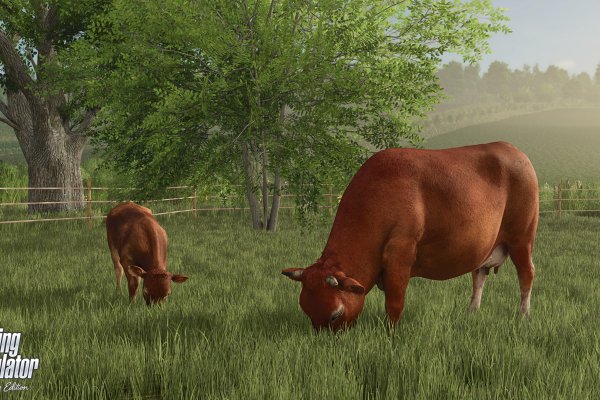 Farming Simulator: Signature Edition pilt 2754