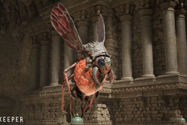 Fatekeeper pilt 4157