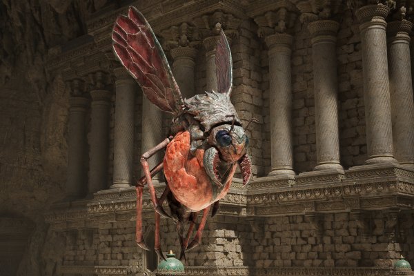 Fatekeeper pilt 4165