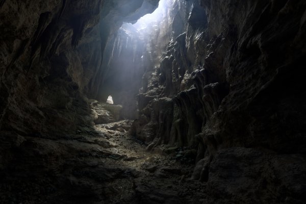 Fatekeeper pilt 4167