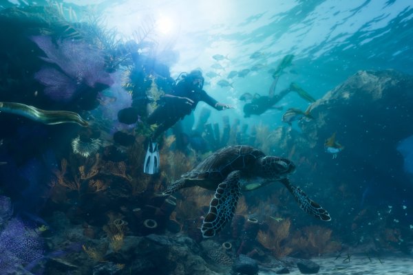 Grand Theft Auto VI pilt 3429