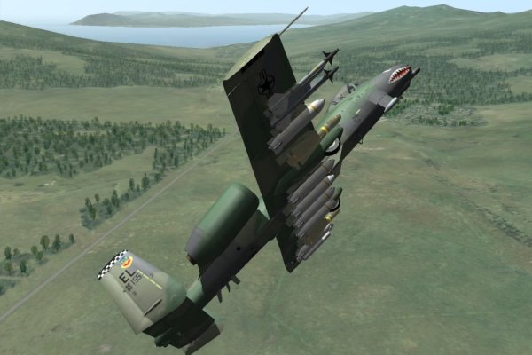 Lock On: Modern Air Combat pilt 4259