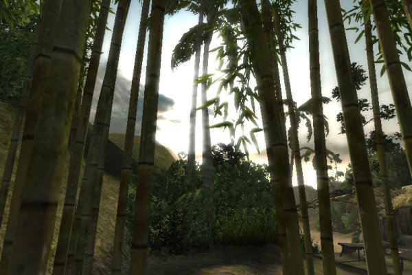 Medal of Honor: Pacific Assault pilt 5356