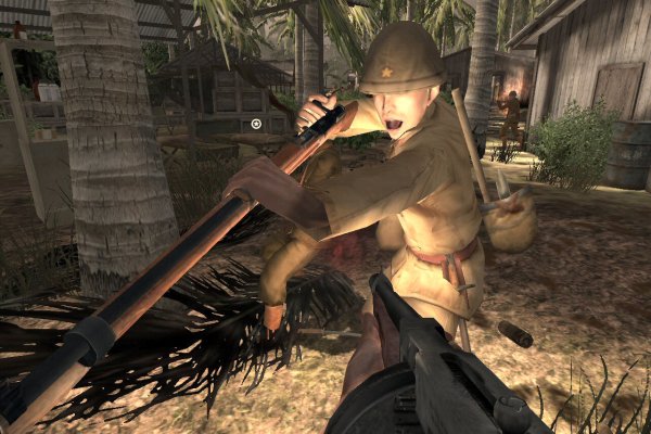 Medal of Honor: Pacific Assault pilt 5373