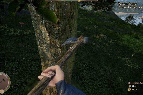 Medieval Frontiers pilt 6436