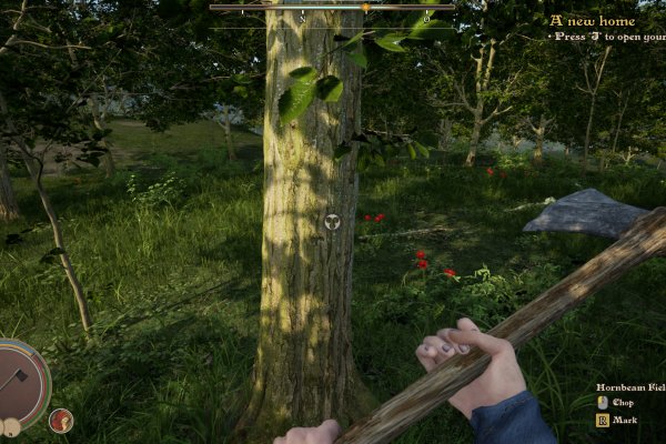 Medieval Frontiers pilt 6437