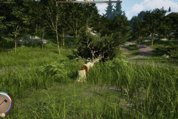 Medieval Frontiers pilt 6442