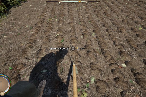 Medieval Frontiers pilt 6444