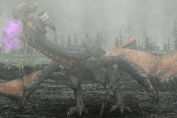 Monster Hunter Freedom pilt 4960