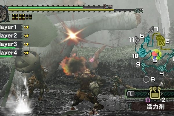 Monster Hunter Freedom pilt 4963