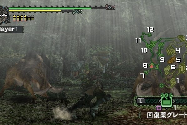 Monster Hunter Freedom pilt 4966