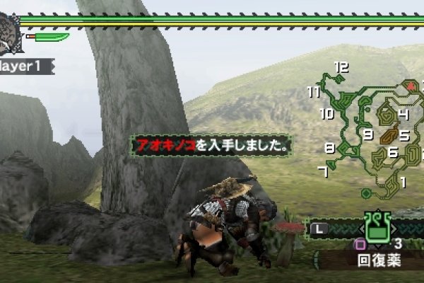 Monster Hunter Freedom pilt 4969