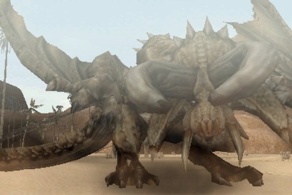 Monster Hunter Freedom pilt 4970