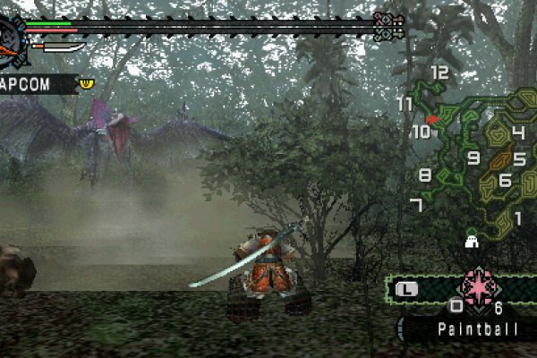 Monster Hunter Freedom pilt 4974