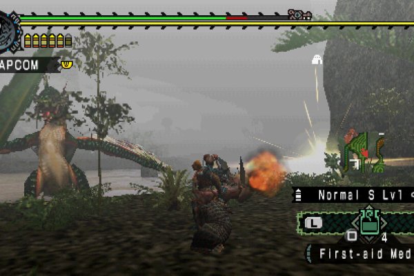 Monster Hunter Freedom pilt 4975