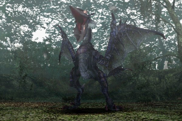 Monster Hunter Freedom pilt 4979