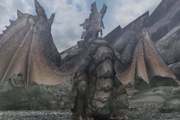 Monster Hunter Freedom pilt 4985