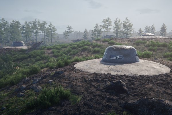 Over the Top: WWI pilt 4384