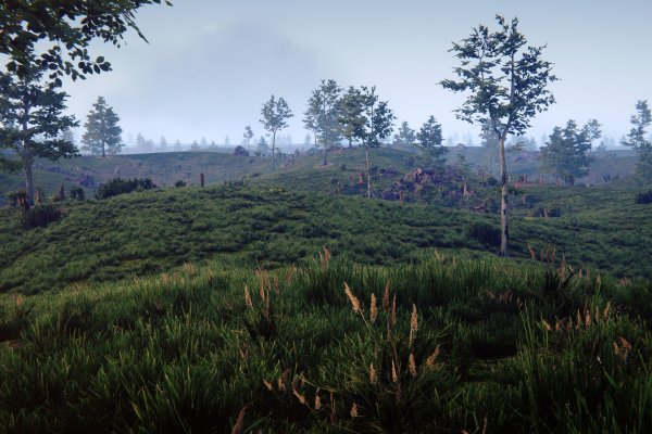 Over the Top: WWI pilt 4394