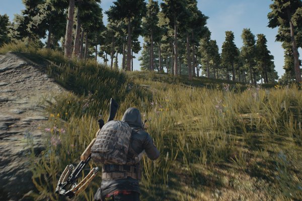 PlayerUnknown's Battlegrounds pilt 6629