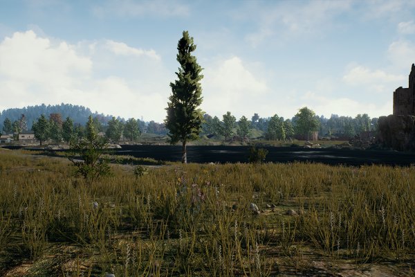 PlayerUnknown's Battlegrounds pilt 6631