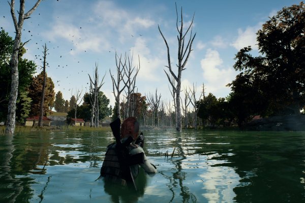 PlayerUnknown's Battlegrounds pilt 6638