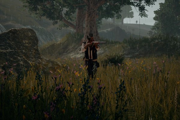 PlayerUnknown's Battlegrounds pilt 6641