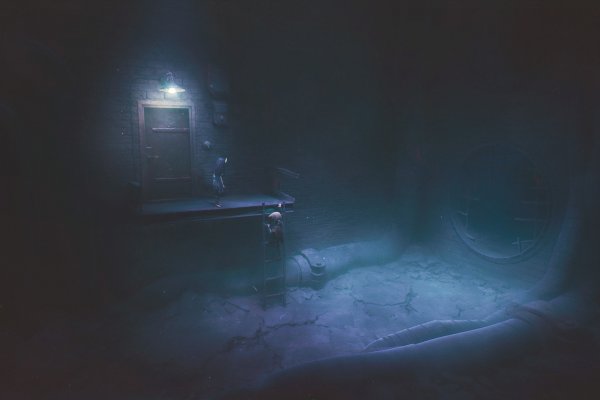 Reanimal pilt 2847 Reanimal pilt 2847