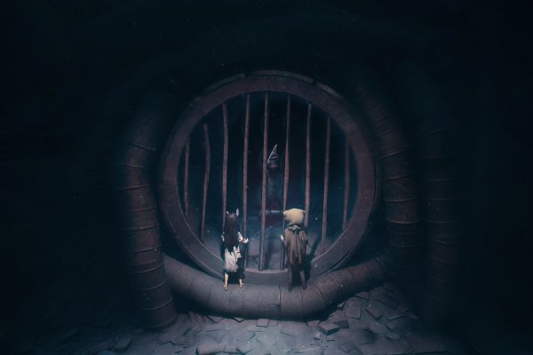 Reanimal pilt 2849 Reanimal pilt 2849