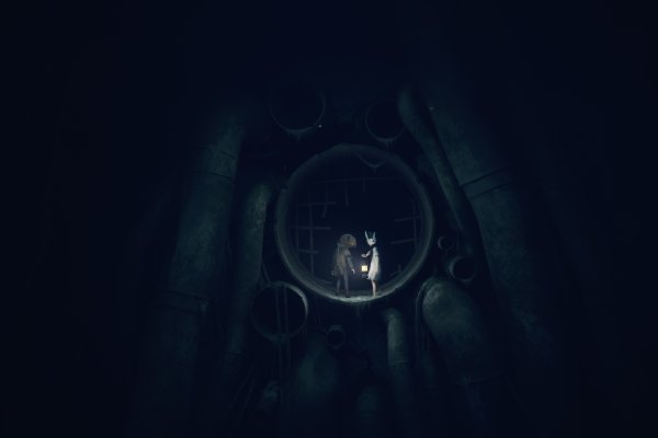 Reanimal pilt 2842 Reanimal pilt 2842