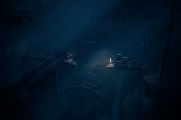 Reanimal pilt 2845 Reanimal pilt 2845