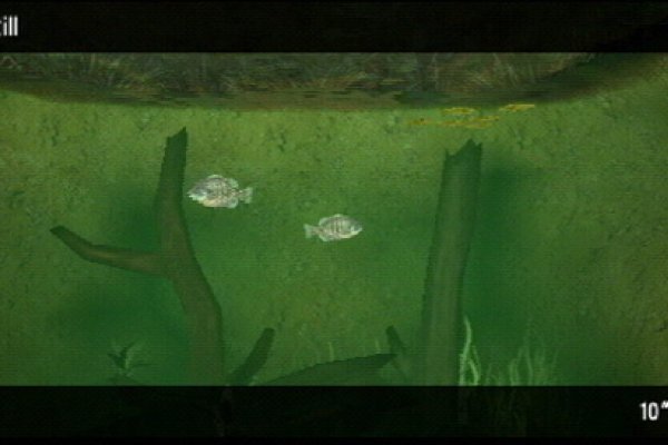 Reel Fishing: The Great Outdoors pilt 6118