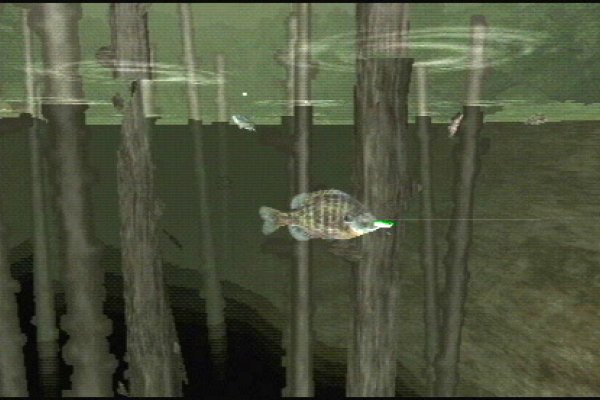 Reel Fishing: The Great Outdoors pilt 6119