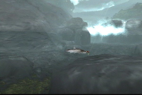 Reel Fishing: The Great Outdoors pilt 6120