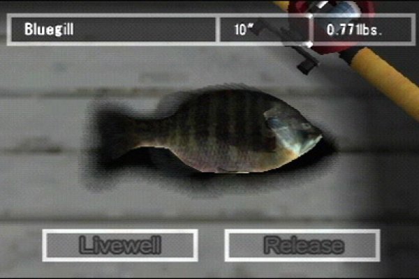 Reel Fishing: The Great Outdoors pilt 6125