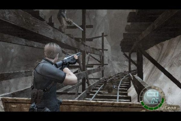 Resident Evil 4 pilt 4762