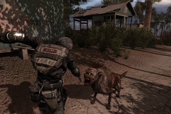 S.T.A.L.K.E.R.: Call of Pripyat pilt 6146