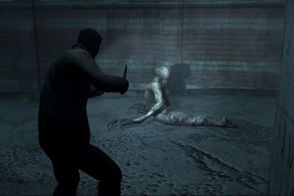 Silent Hill: Homecoming pilt 5303