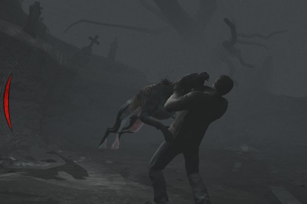 Silent Hill: Homecoming pilt 5298