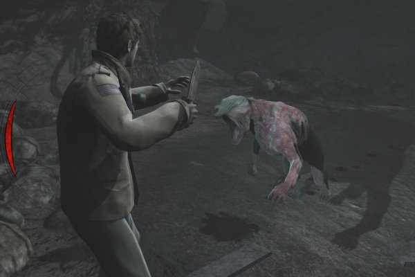 Silent Hill: Homecoming pilt 5299