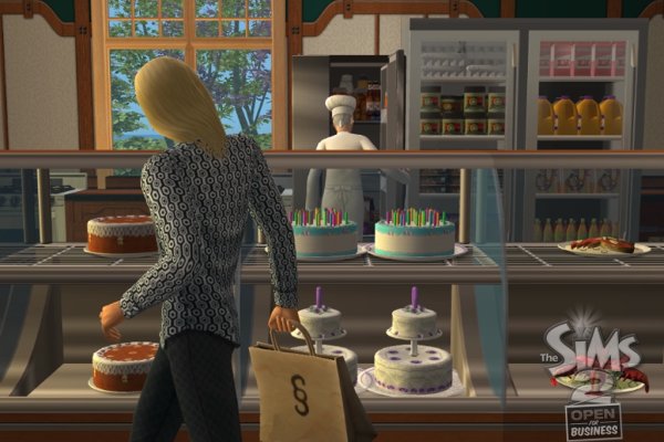 The Sims 2: Open for Business pilt 6510