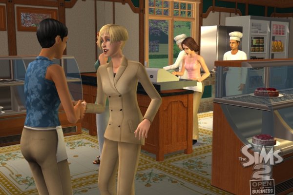The Sims 2: Open for Business pilt 6511