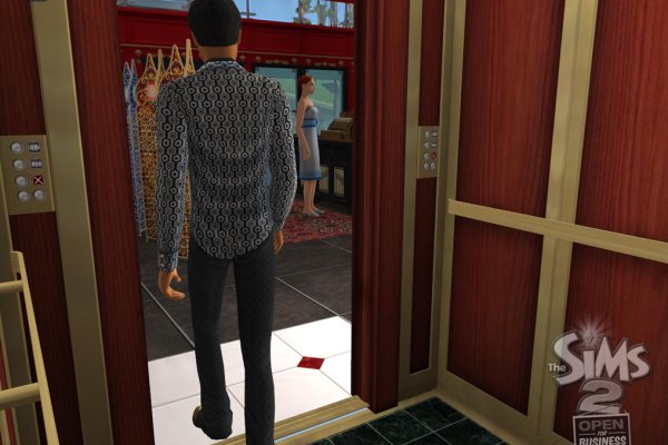 The Sims 2: Open for Business pilt 6515