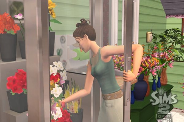 The Sims 2: Open for Business pilt 6517