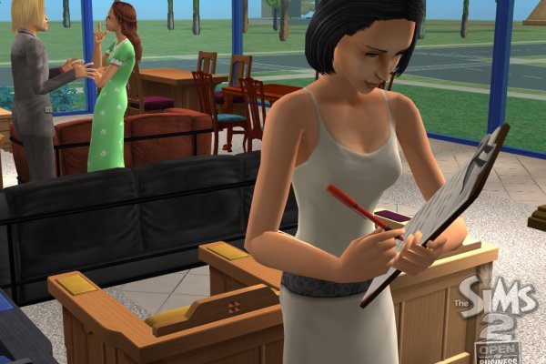 The Sims 2: Open for Business pilt 6518